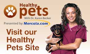  Healthy Pets